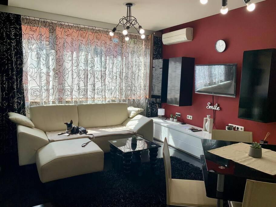 Lovely Sofia Apartment Katerina With Free Parking Exterior foto